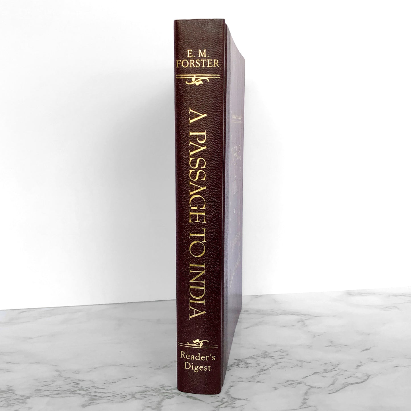 A Passage to India by E.M. Forster [ILLUSTRATED HARDCOVER / 1989]