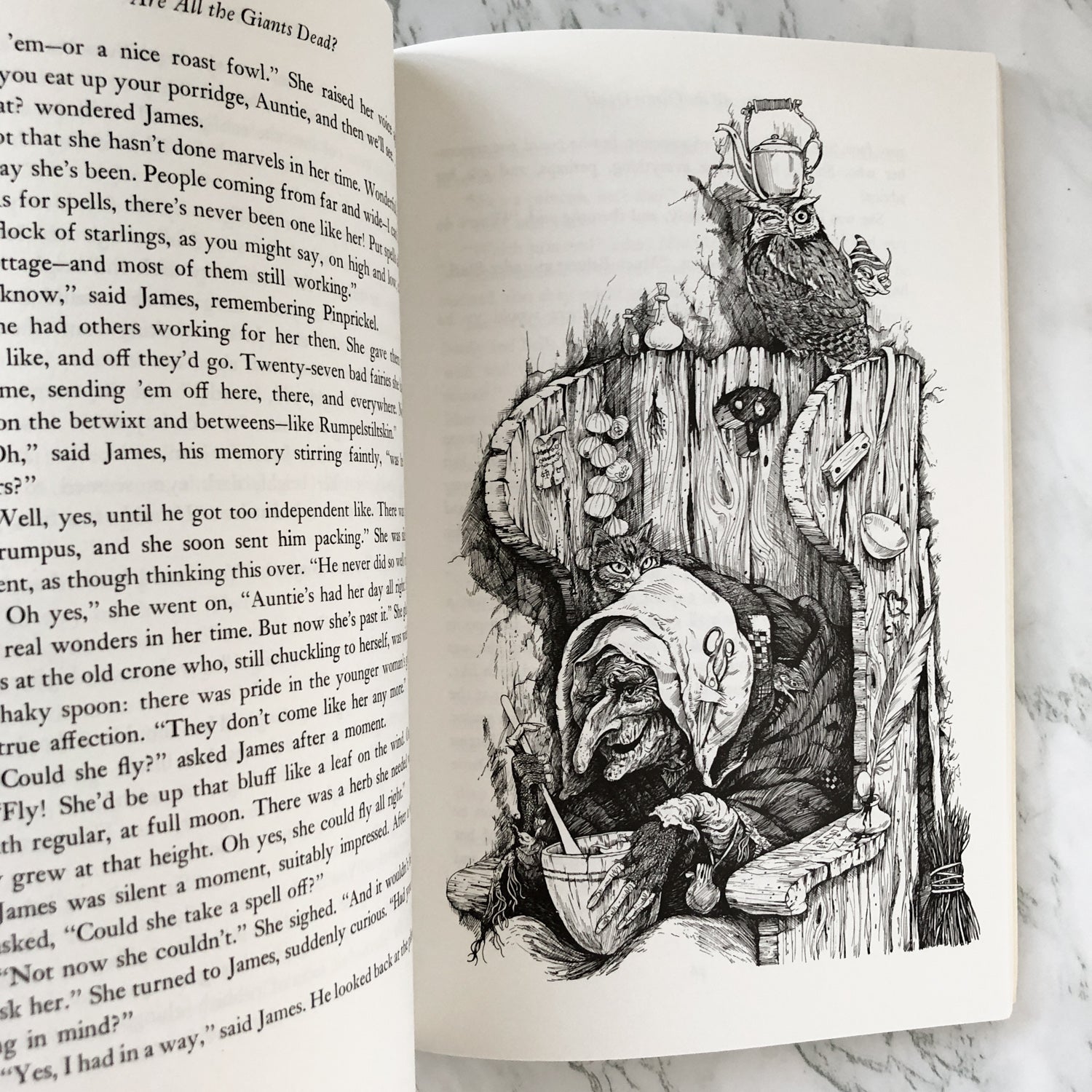 Are All The Giants Dead? by Mary Norton [FIRST PAPERBACK EDITION] - Bookshop Apocalypse