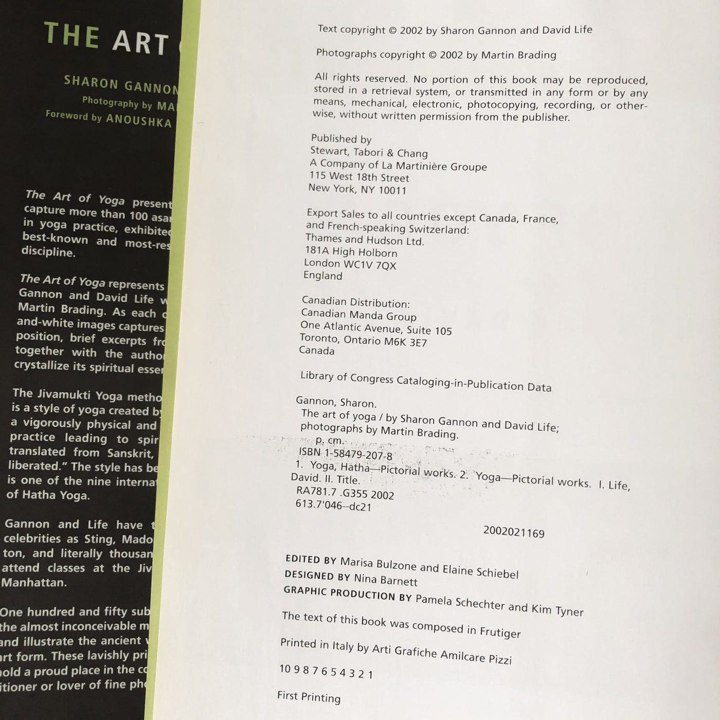 The Art of Yoga by Sharon Gannon & David Life [FIRST EDITION / 2002]