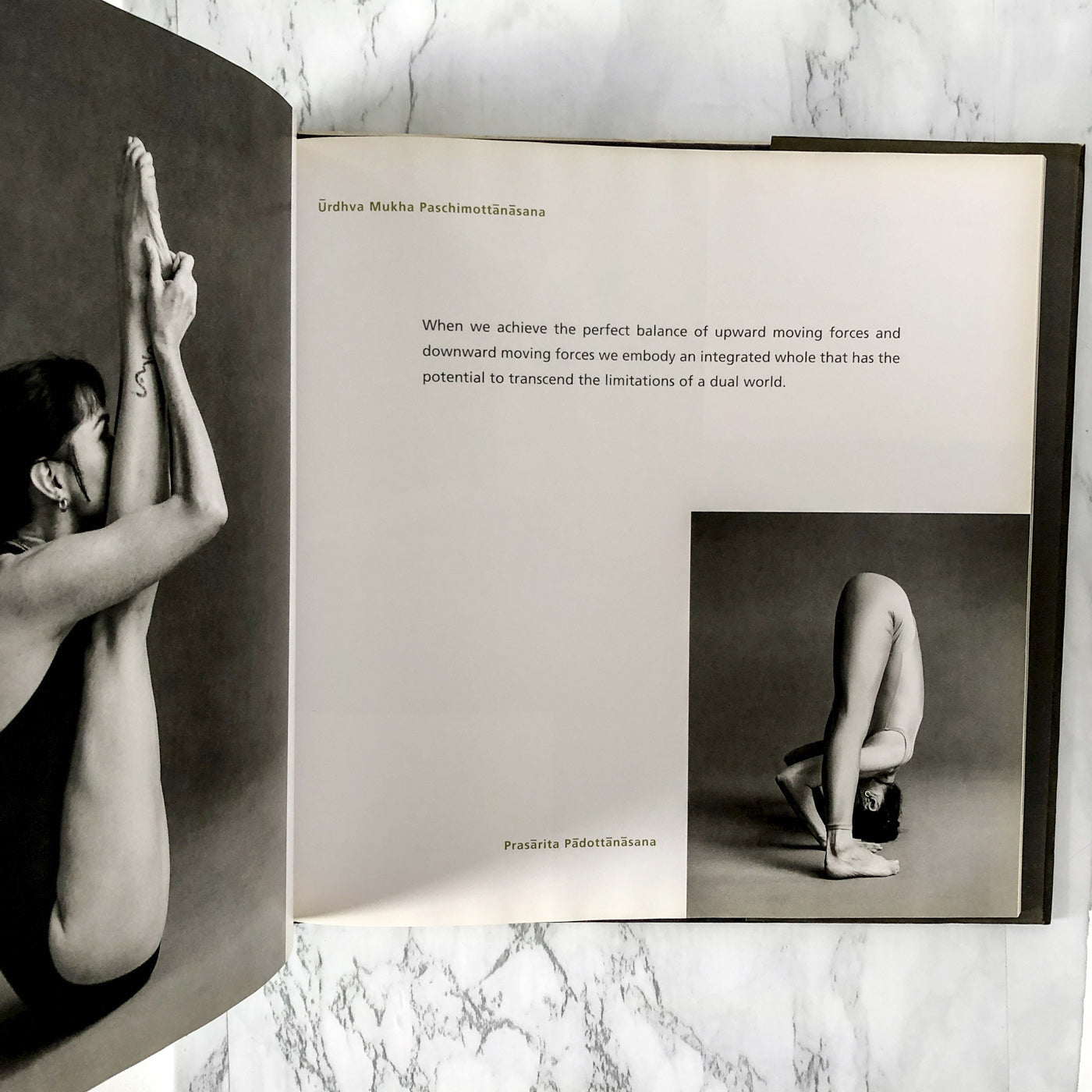 The Art of Yoga by Sharon Gannon & David Life [FIRST EDITION / 2002]