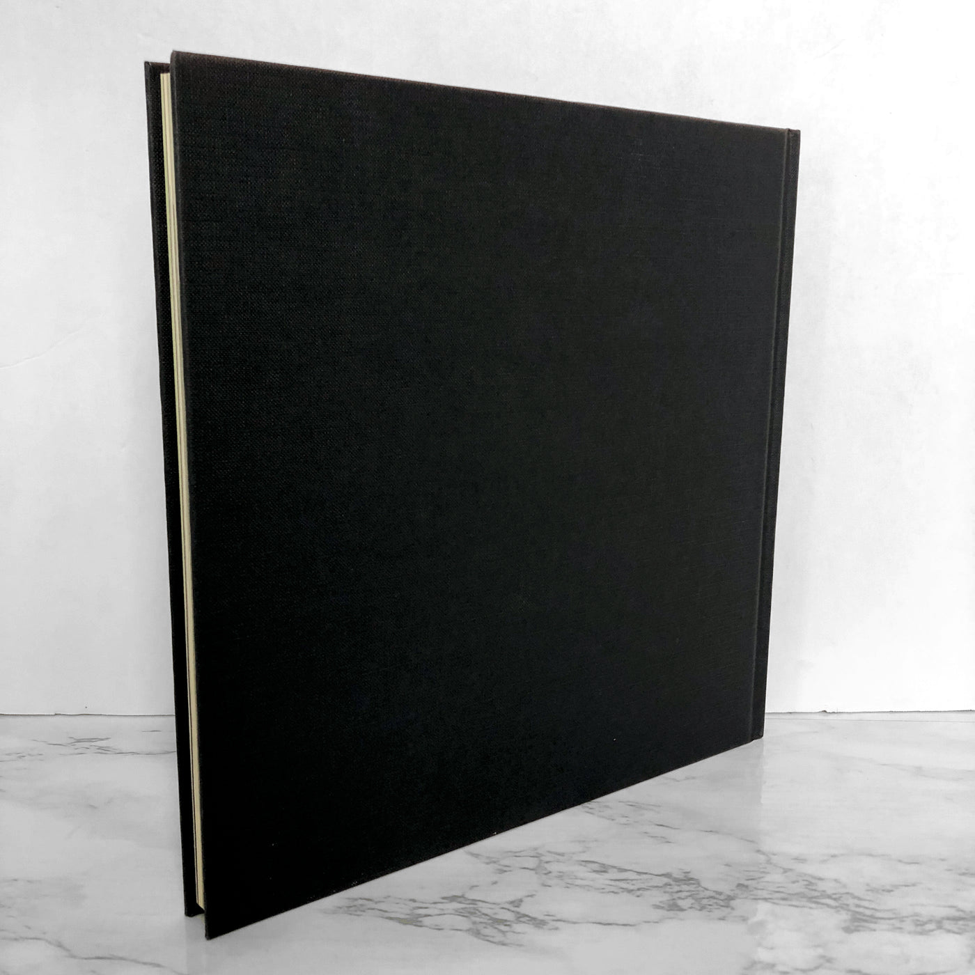 The Art of Yoga by Sharon Gannon & David Life [FIRST EDITION / 2002]