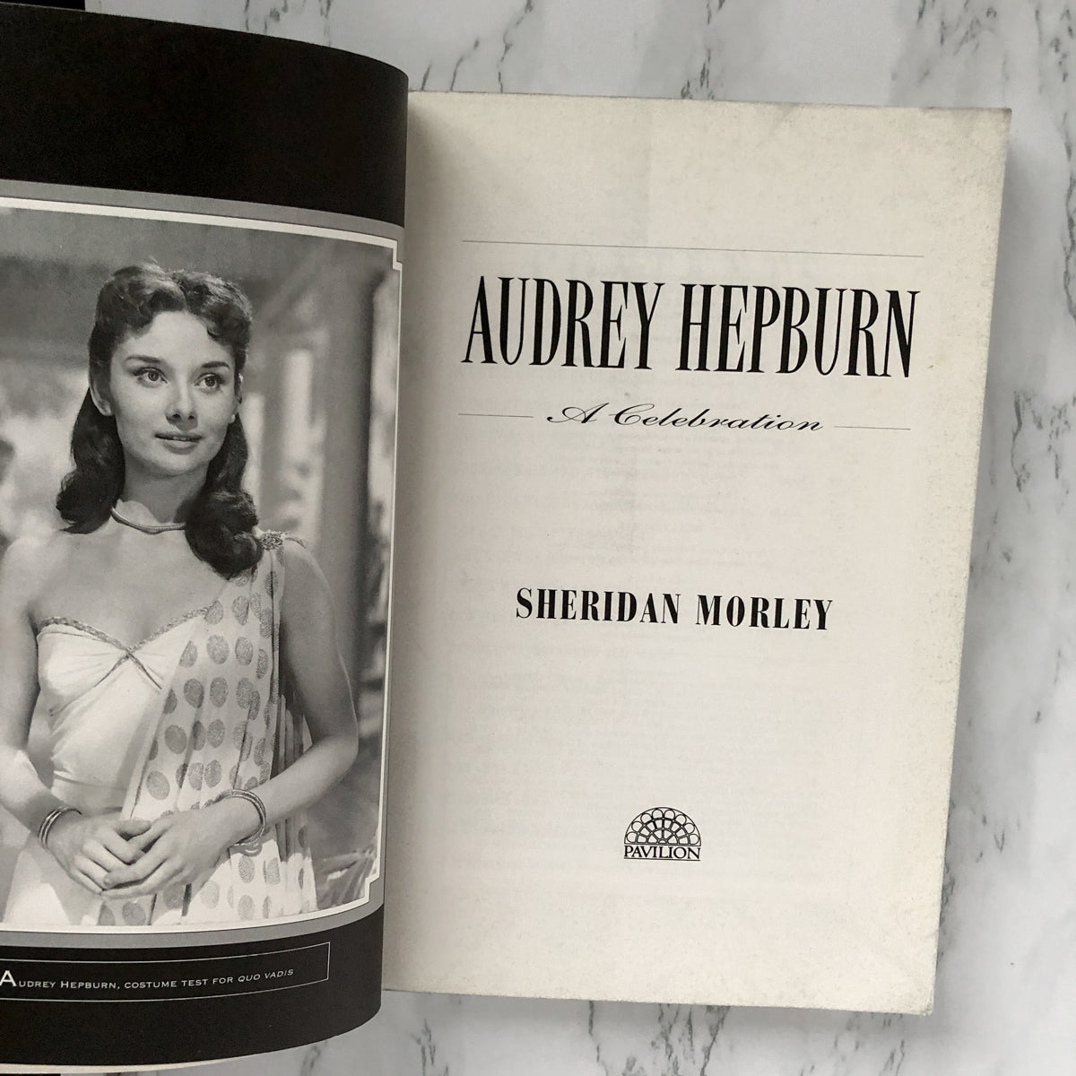 Audrey Hepburn: A Celebration by Sheridan Morley [U.K. TRADE PAPERBACK] - Bookshop Apocalypse