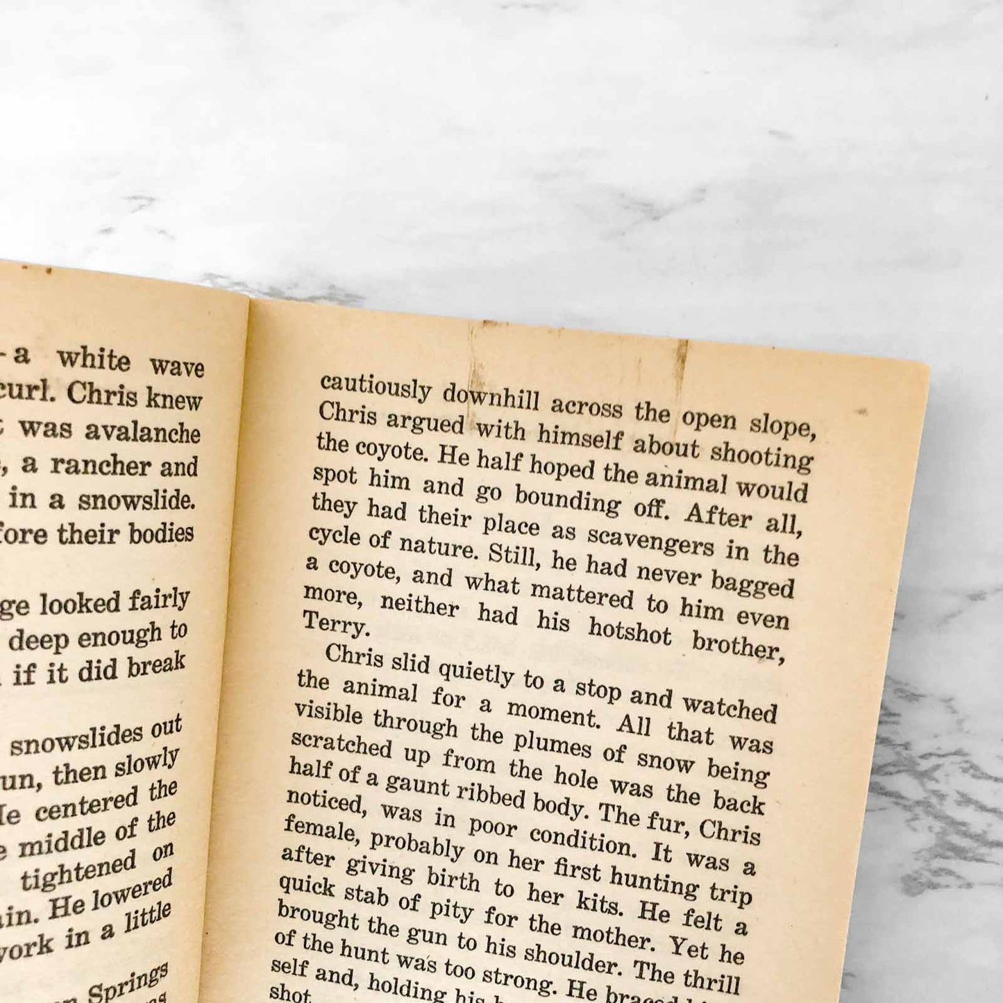 Avalanche by Arthur J. Roth [1989 PAPERBACK] Point Horror