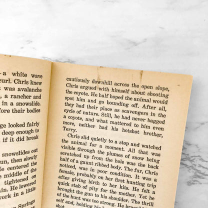 Avalanche by Arthur J. Roth [1989 PAPERBACK] Point Horror