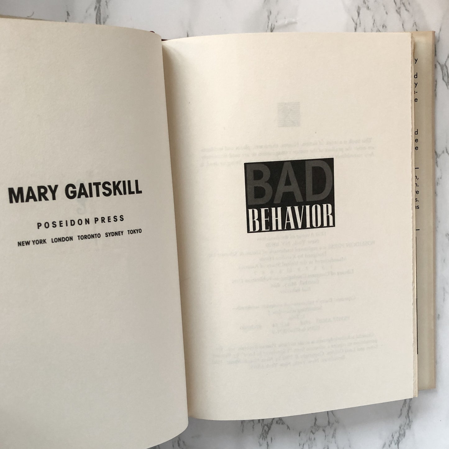 Bad Behavior by Mary Gaitskill [FIRST EDITION / 1988] - Bookshop Apocalypse