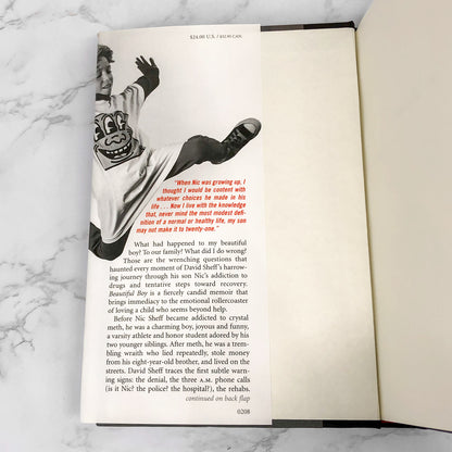 Beautiful Boy : A Father's Journey Through His Son's Addiction by David Sheff [FIRST EDITION • FIRST PRINTING] 2008