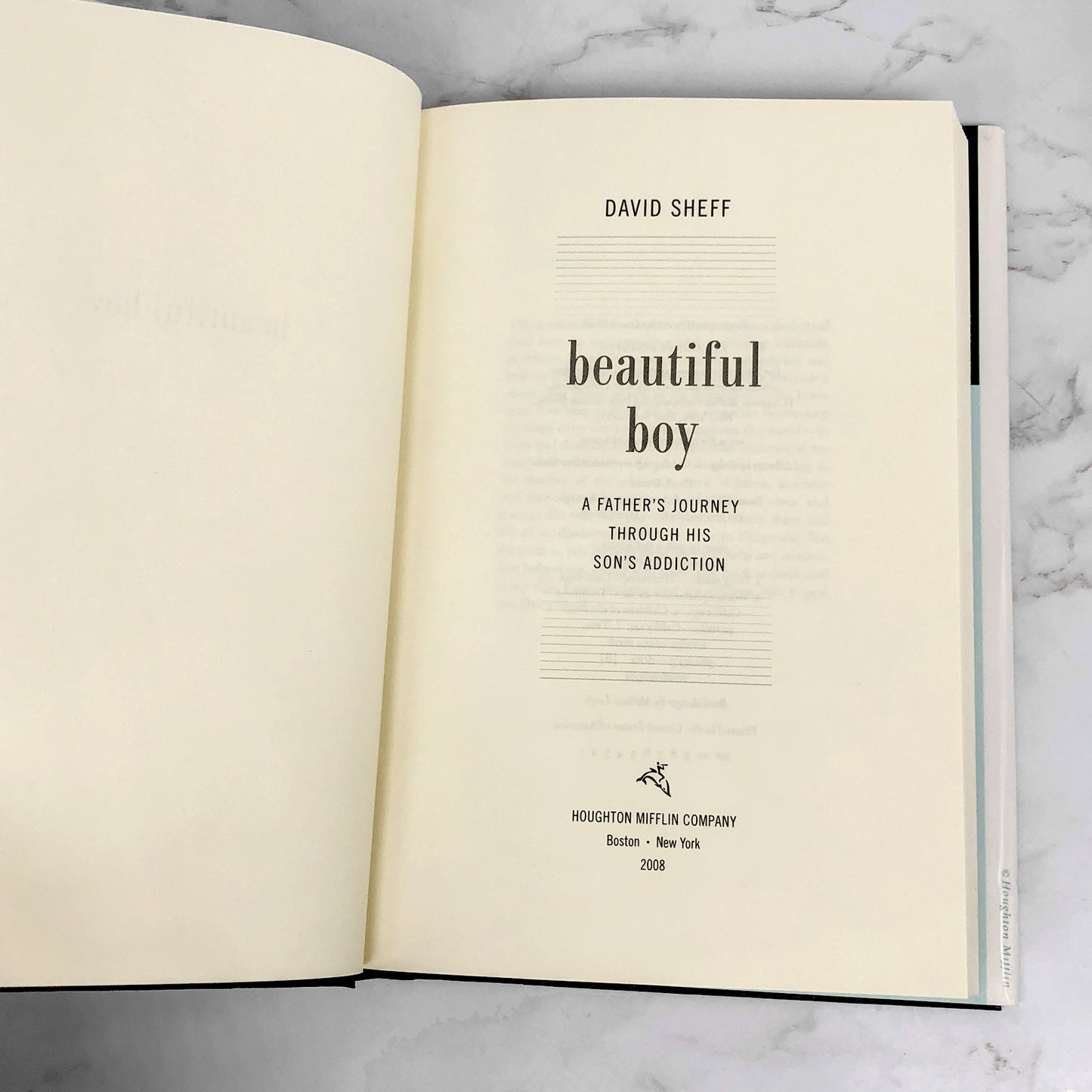 Beautiful Boy : A Father's Journey Through His Son's Addiction by David Sheff [FIRST EDITION • FIRST PRINTING] 2008