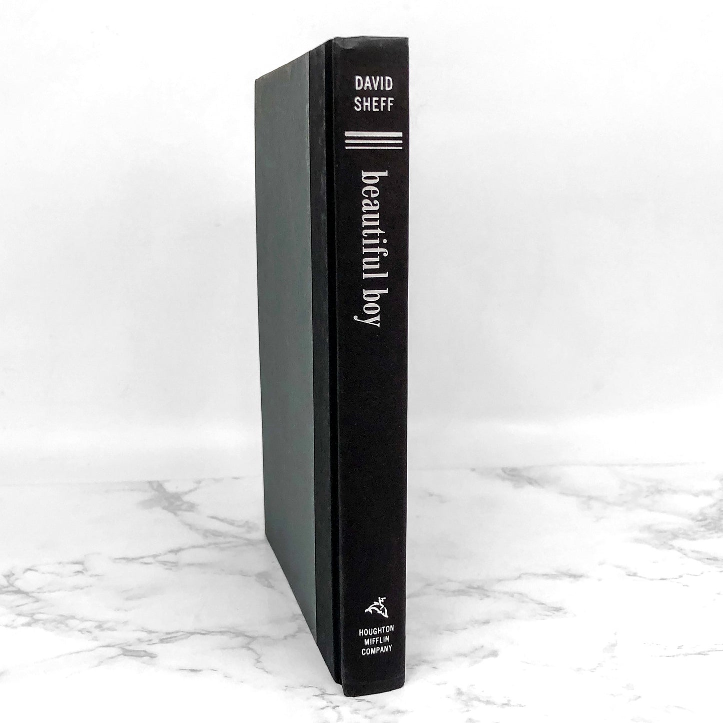 Beautiful Boy : A Father's Journey Through His Son's Addiction by David Sheff [FIRST EDITION • FIRST PRINTING] 2008