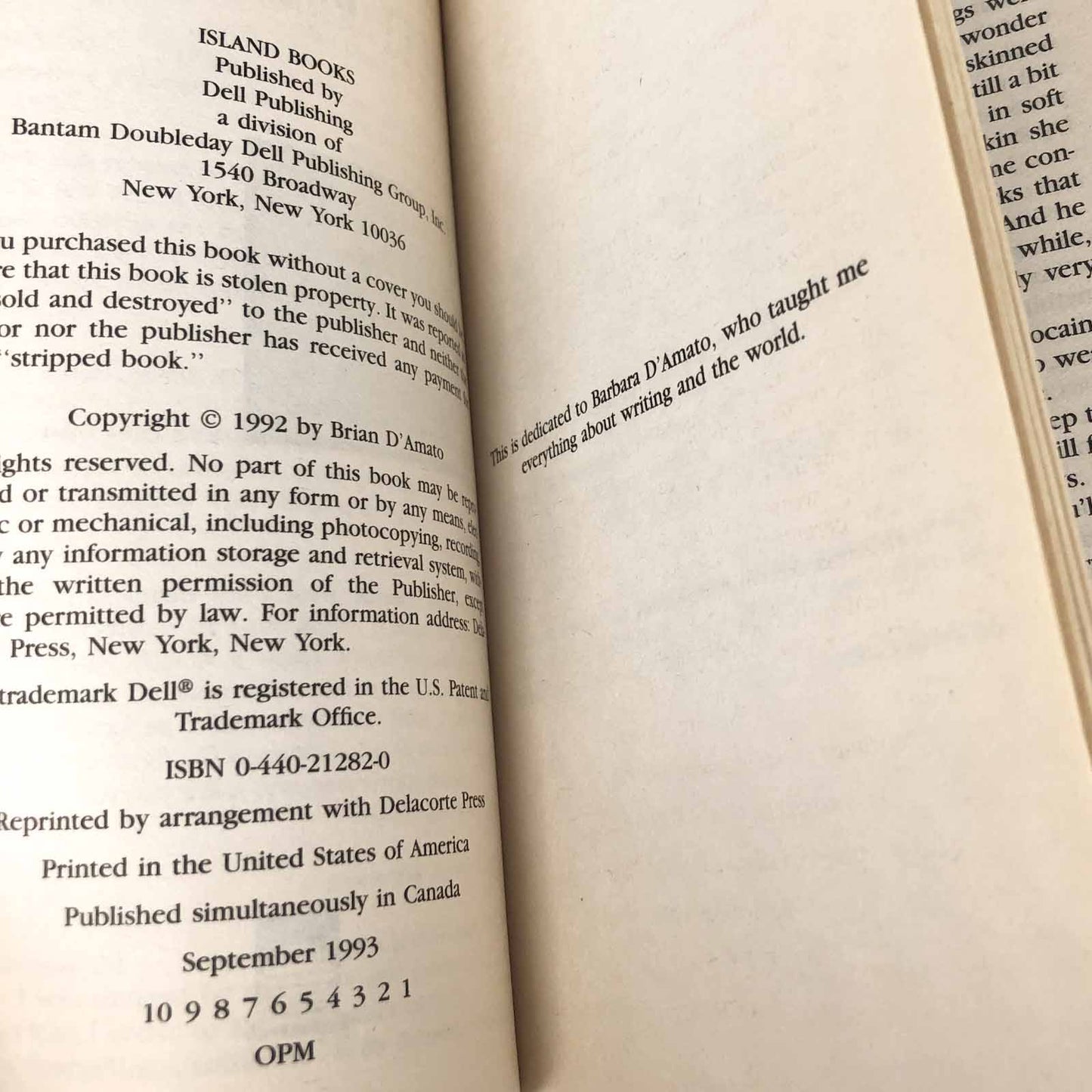 Beauty by Brian D'Amato [FIRST PAPERBACK PRINTING] 1993