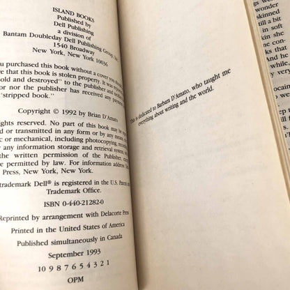 Beauty by Brian D'Amato [FIRST PAPERBACK PRINTING] 1993