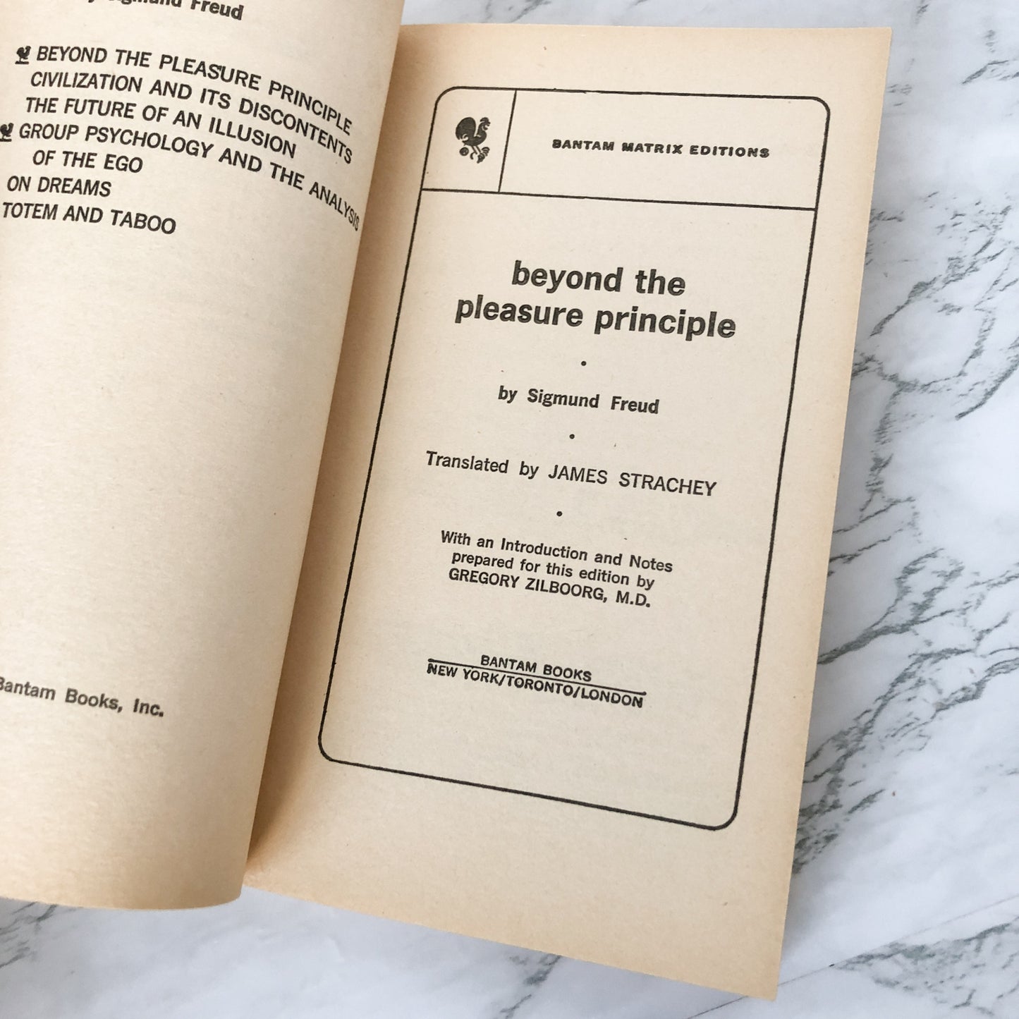 Beyond the Pleasure Principle by Sigmund Freud [1967 PAPERBACK] - Bookshop Apocalypse