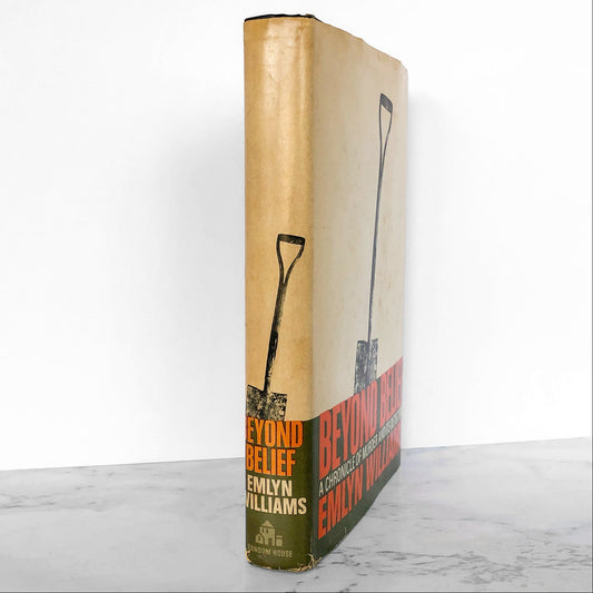 Beyond Belief: A Chronicle of Murder & Its Detection by Emlyn Williams [1968 HARDCOVER] BCE • Random House