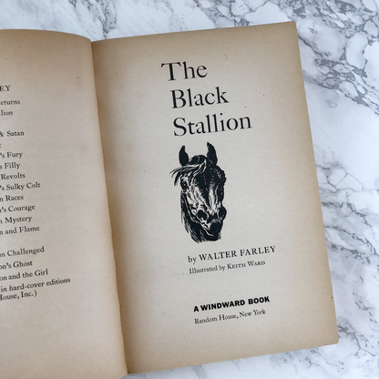 The Black Stallion by Walter Farley - Bookshop Apocalypse