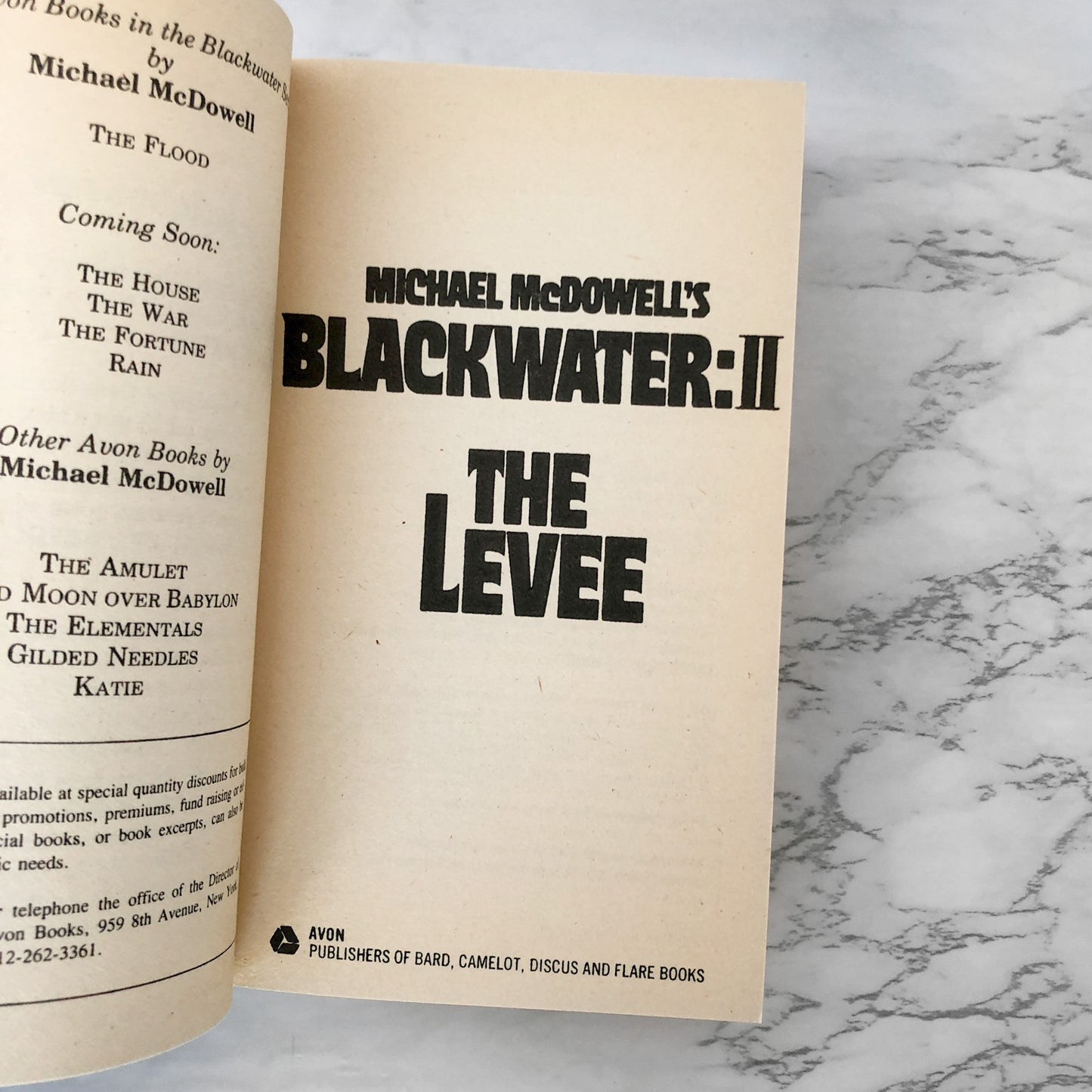 Blackwater II: The Levee by Michael McDowell [FIRST PRINTING / 1983]