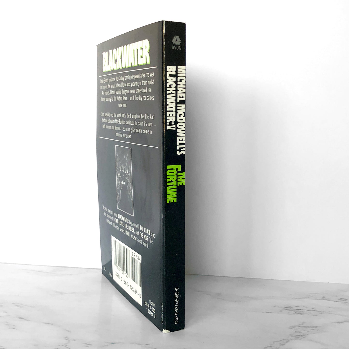 Blackwater V: The Fortune by Michael McDowell [FIRST PRINTING / 1983]