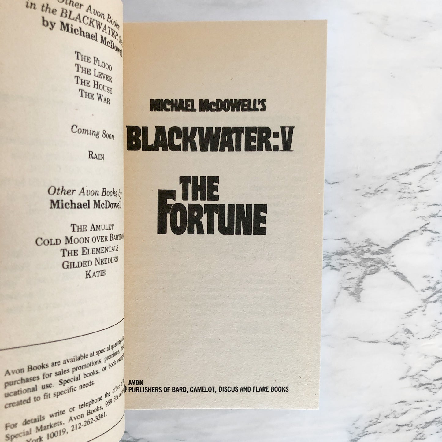 Blackwater V: The Fortune by Michael McDowell [FIRST PRINTING / 1983]