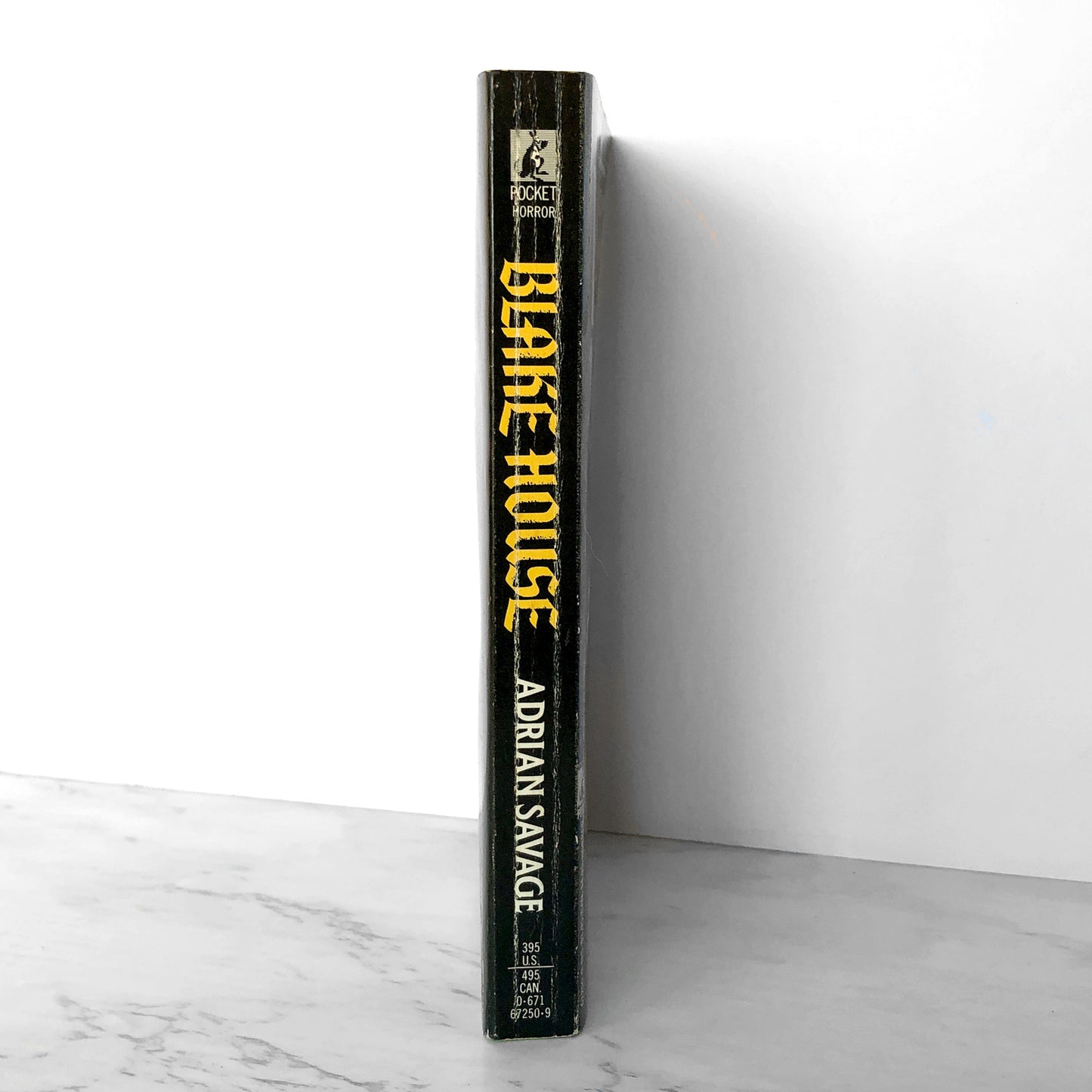 Blake House by Adrian Savage [FIRST EDITION] 1990