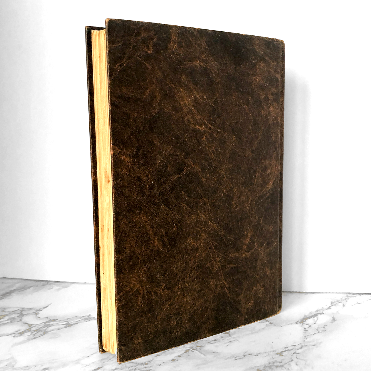 Blye Private Eye by Nicholas Pileggi [FIRST EDITION / 1976]