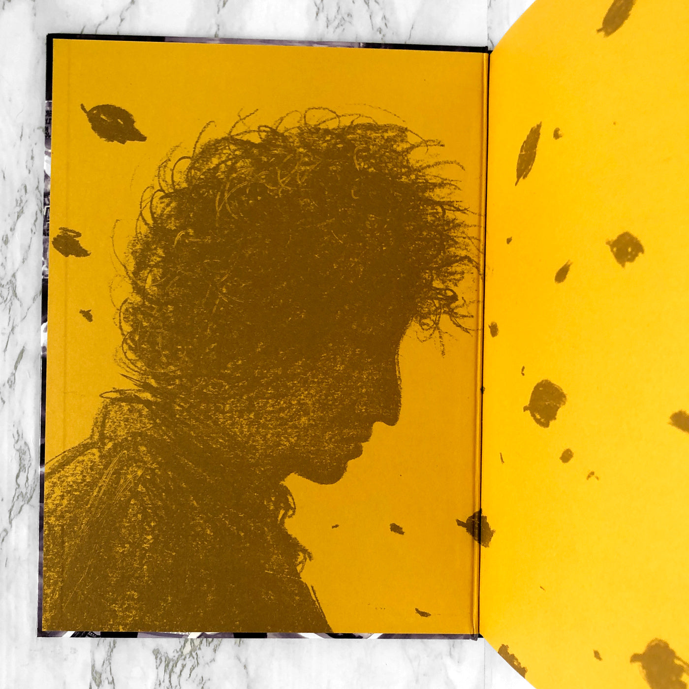 Bob Dylan Revisited: 13 Graphic Interpretations of Bob Dylan's Songs [FIRST EDITION • FIRST PRINTING] 2009