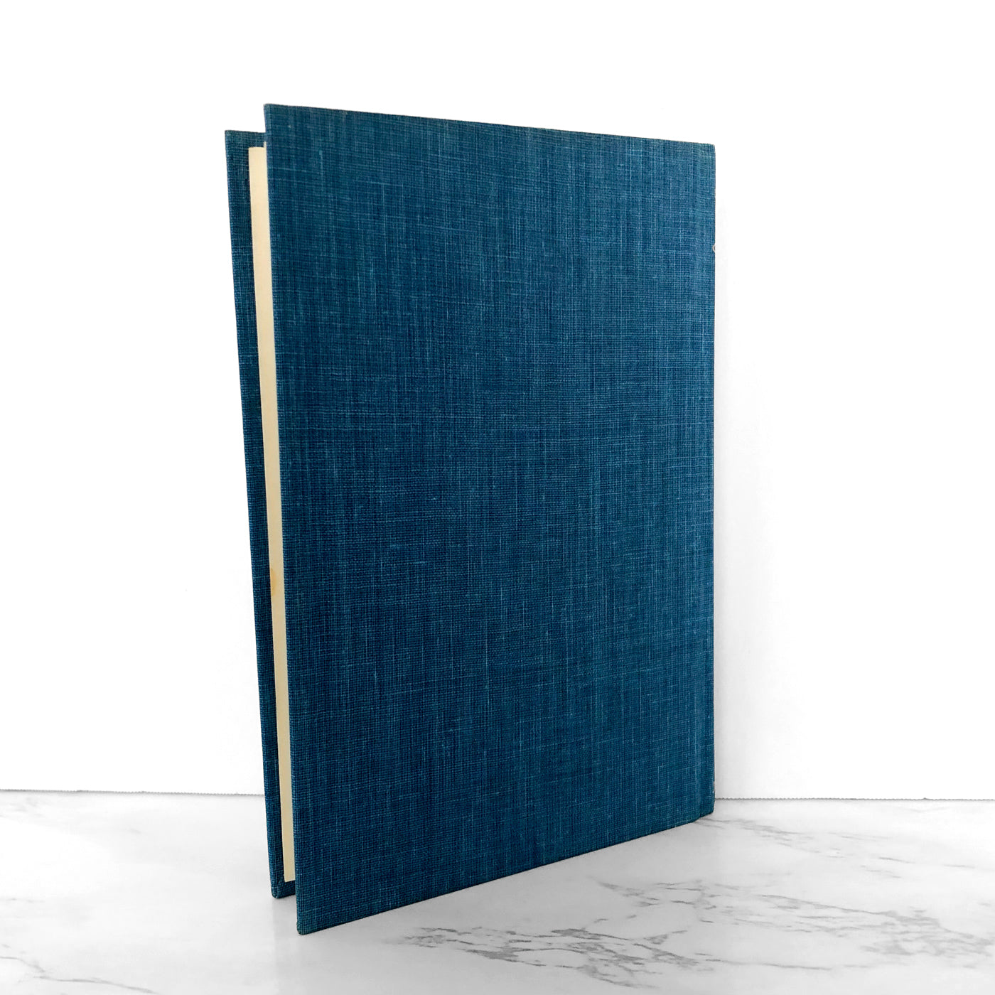 The Borrowers by Mary Norton [FIRST EDITION] 22nd Print • 1981