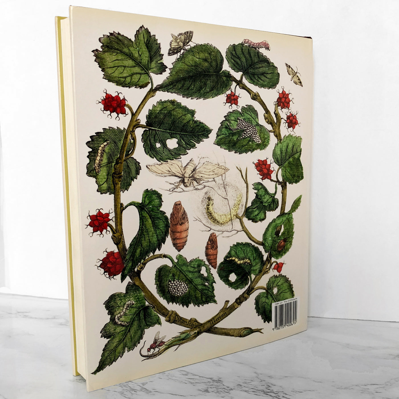 Botanicals: Butterflies & Insects by Leslie K. Overstreet [FIRST EDITION / 2008 ASSOULINE ]