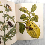 Botanicals: Butterflies & Insects by Leslie K. Overstreet [FIRST EDITION / 2008 ASSOULINE ]