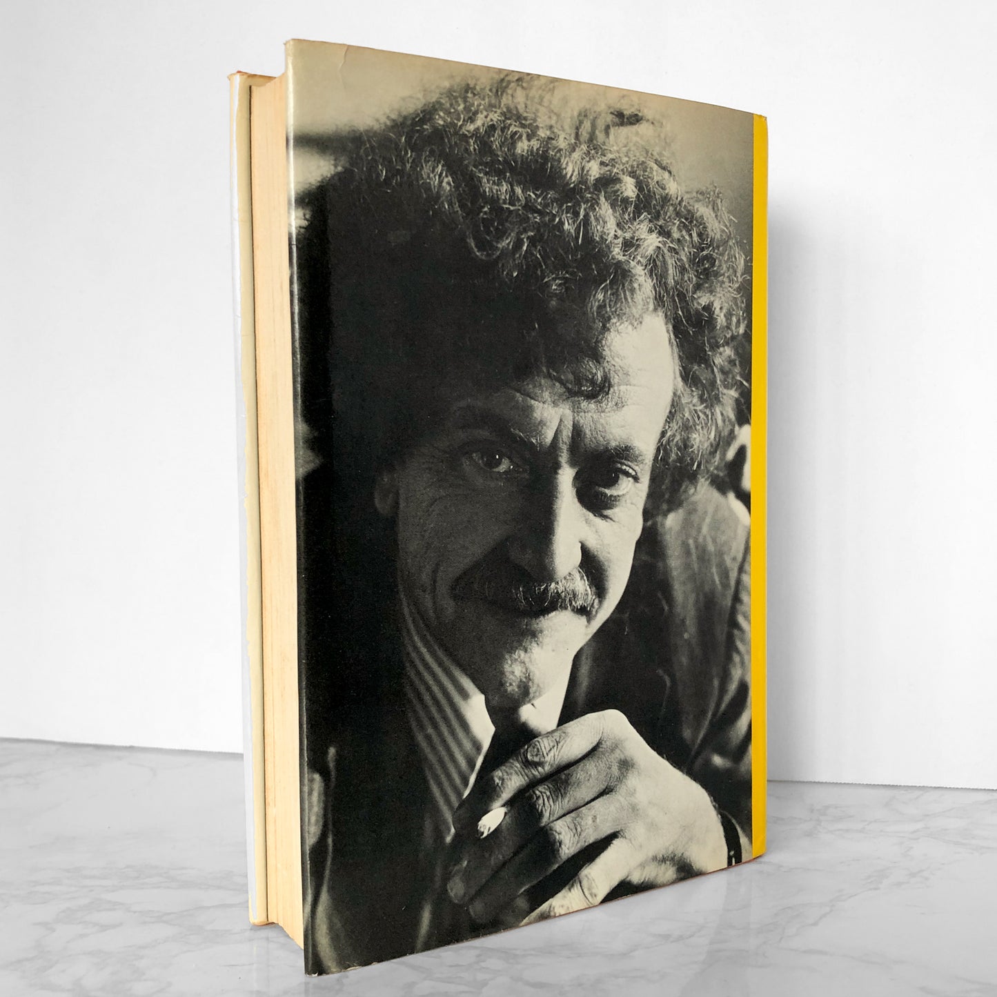 Breakfast of Champions by Kurt Vonnegut [FIRST EDITION] - Bookshop Apocalypse