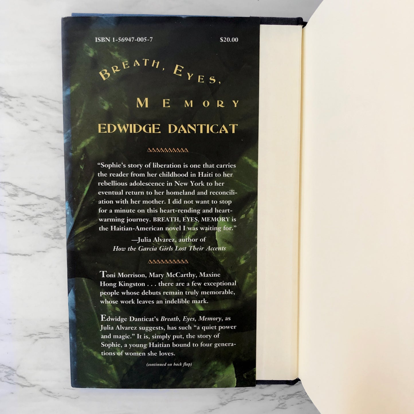 Breath, Eyes, Memory by Edwidge Danticat [FIRST EDITION / FIRST PRINTING] 1994