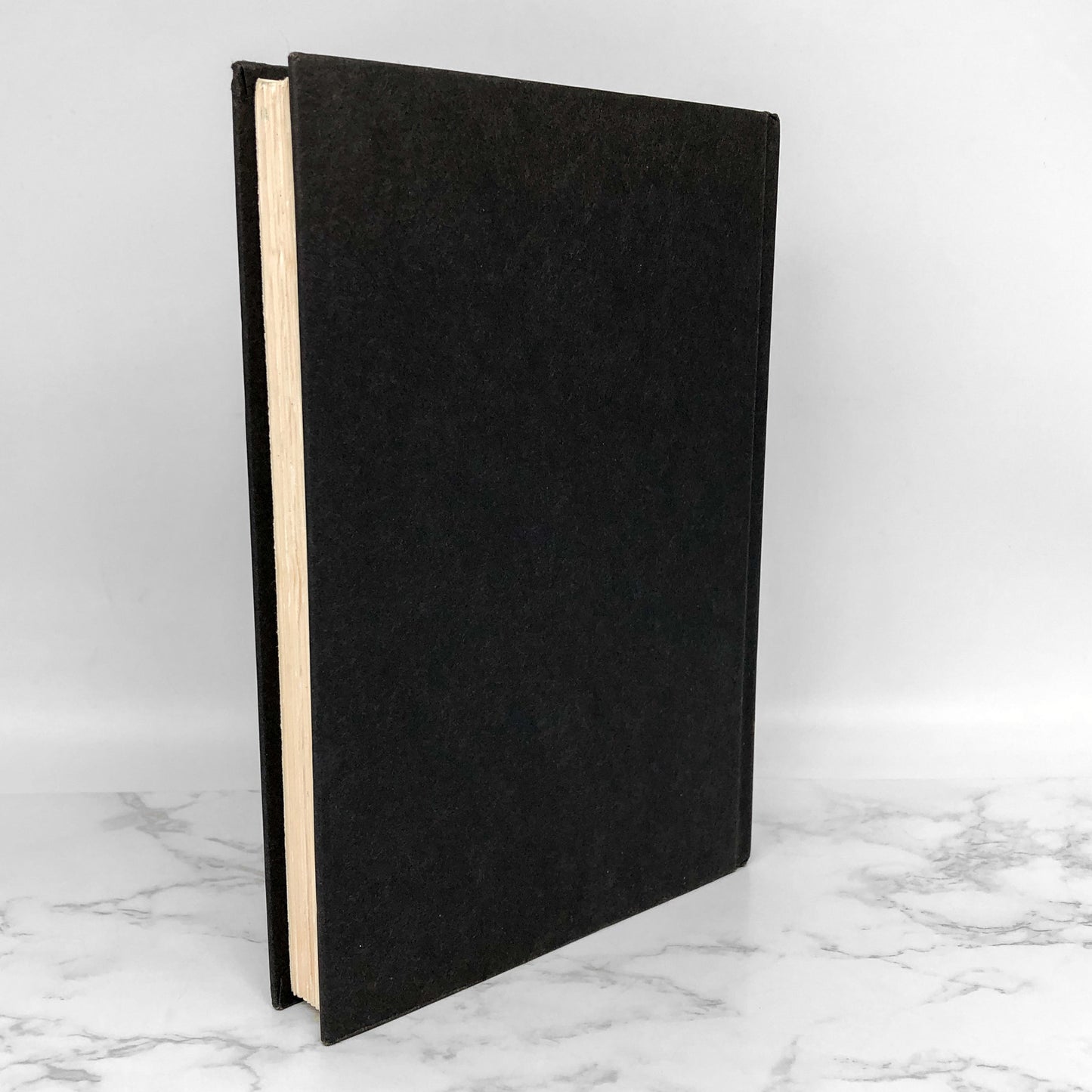 Brief Interviews with Hideous Men by David Foster Wallace [FIRST EDITION • FIRST PRINTING] 1999