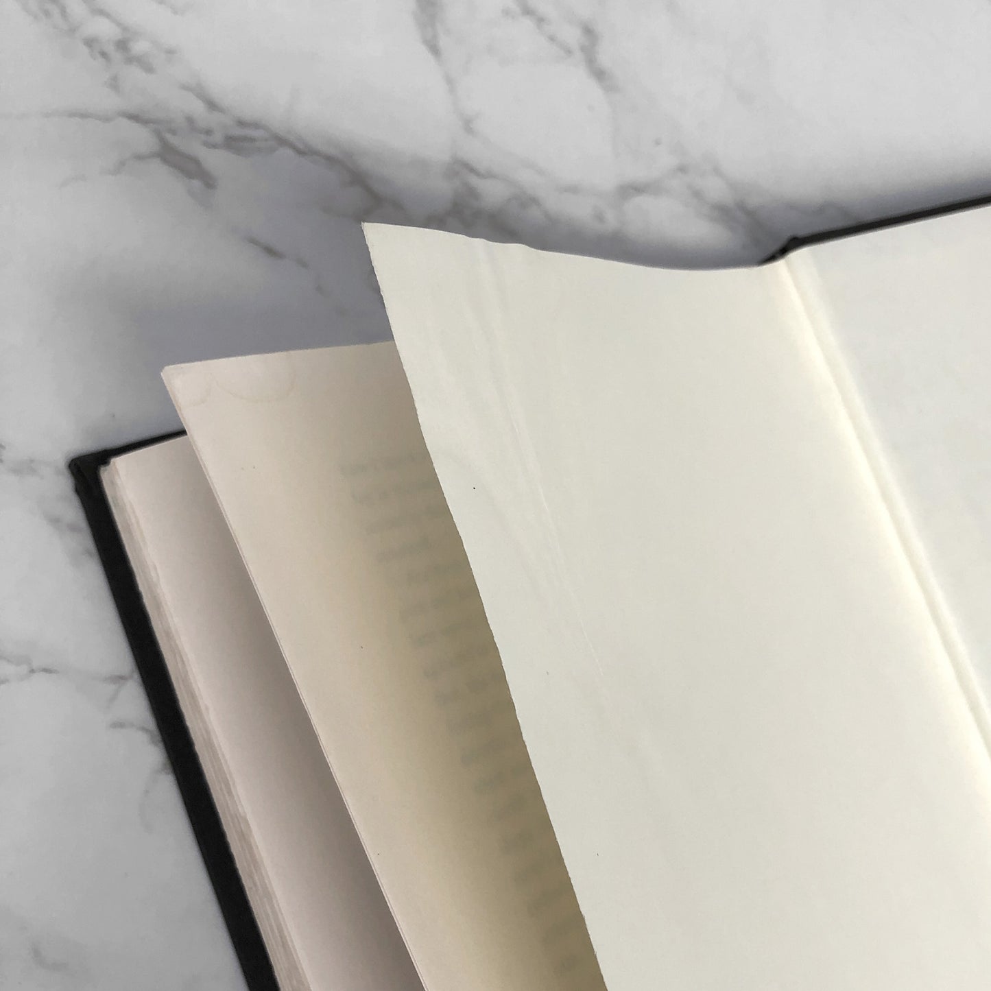 Brief Interviews with Hideous Men by David Foster Wallace [FIRST EDITION • FIRST PRINTING] 1999