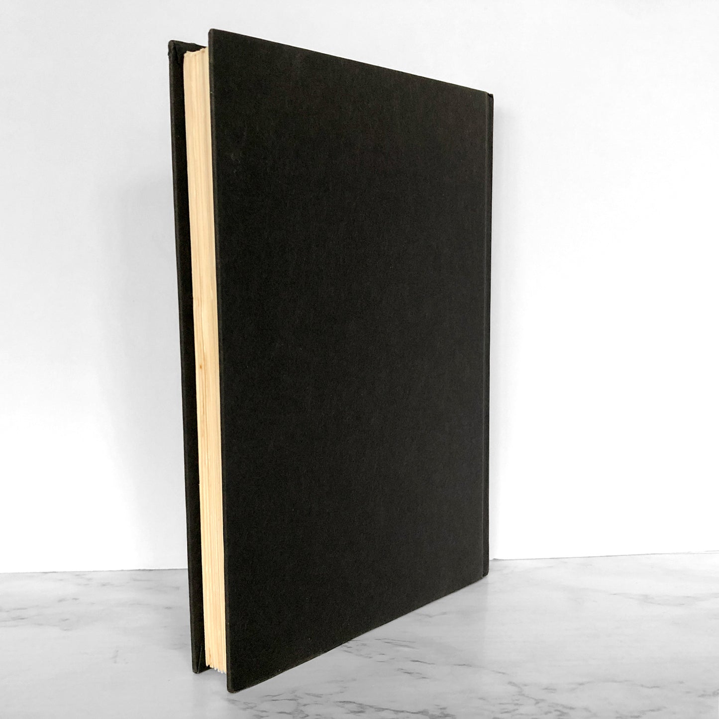 Brief Interviews with Hideous Men by David Foster Wallace [FIRST EDITION • FIRST PRINTING] 1999