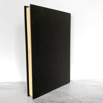 Brief Interviews with Hideous Men by David Foster Wallace [FIRST EDITION • FIRST PRINTING] 1999