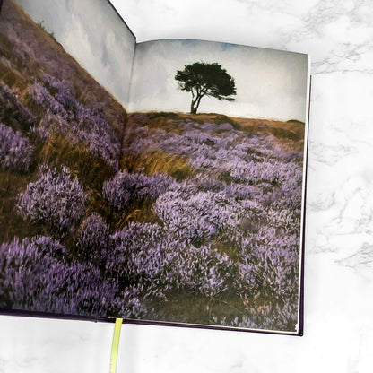 Selected Works of the Bronte Sisters: Jane Eyre, Wuthering Heights & The Tenant of Wildfell Hall [LEATHER-BOUND HARDCOVER]