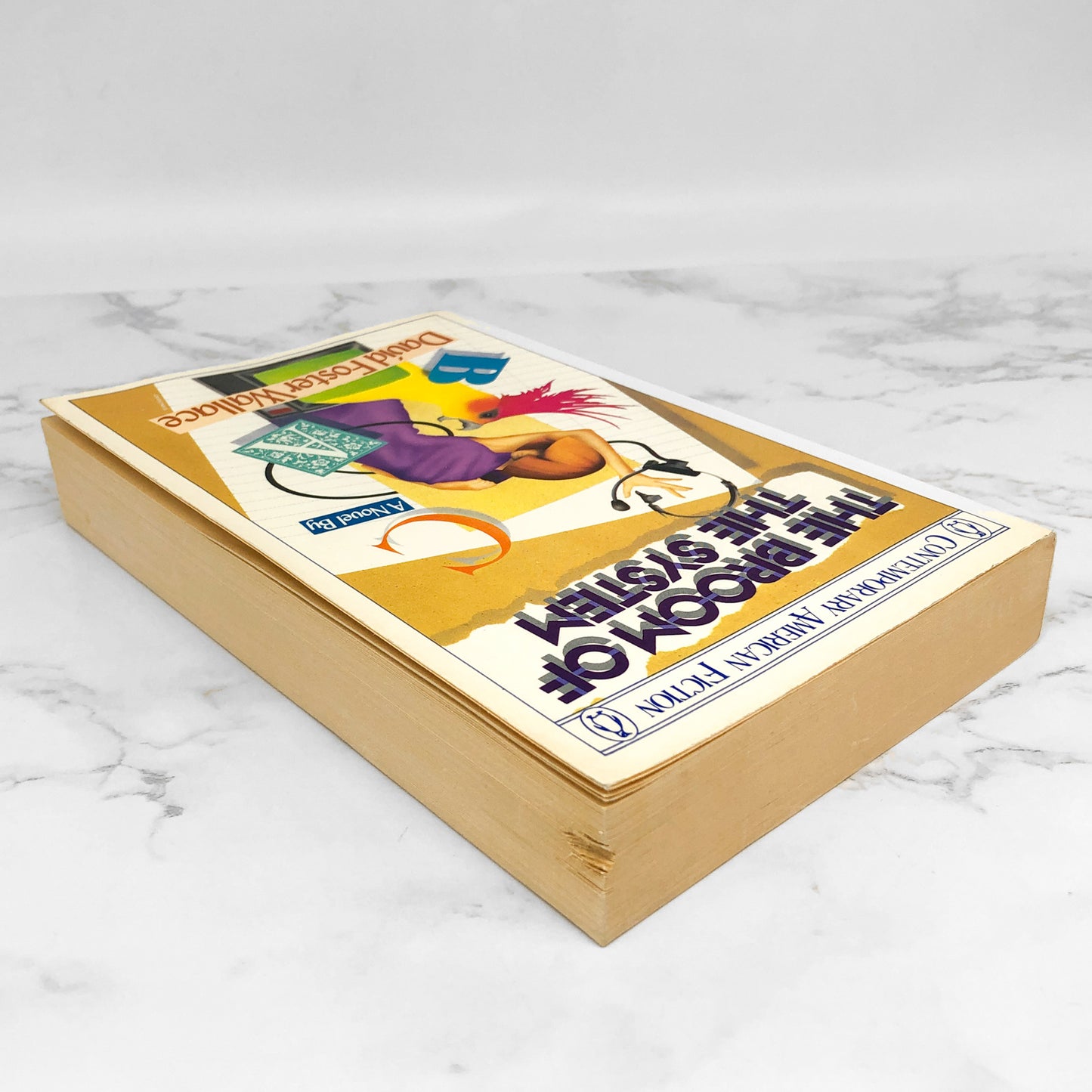 The Broom of the System by David Foster Wallace [FIRST EDITION / 1987] Trade Paperback