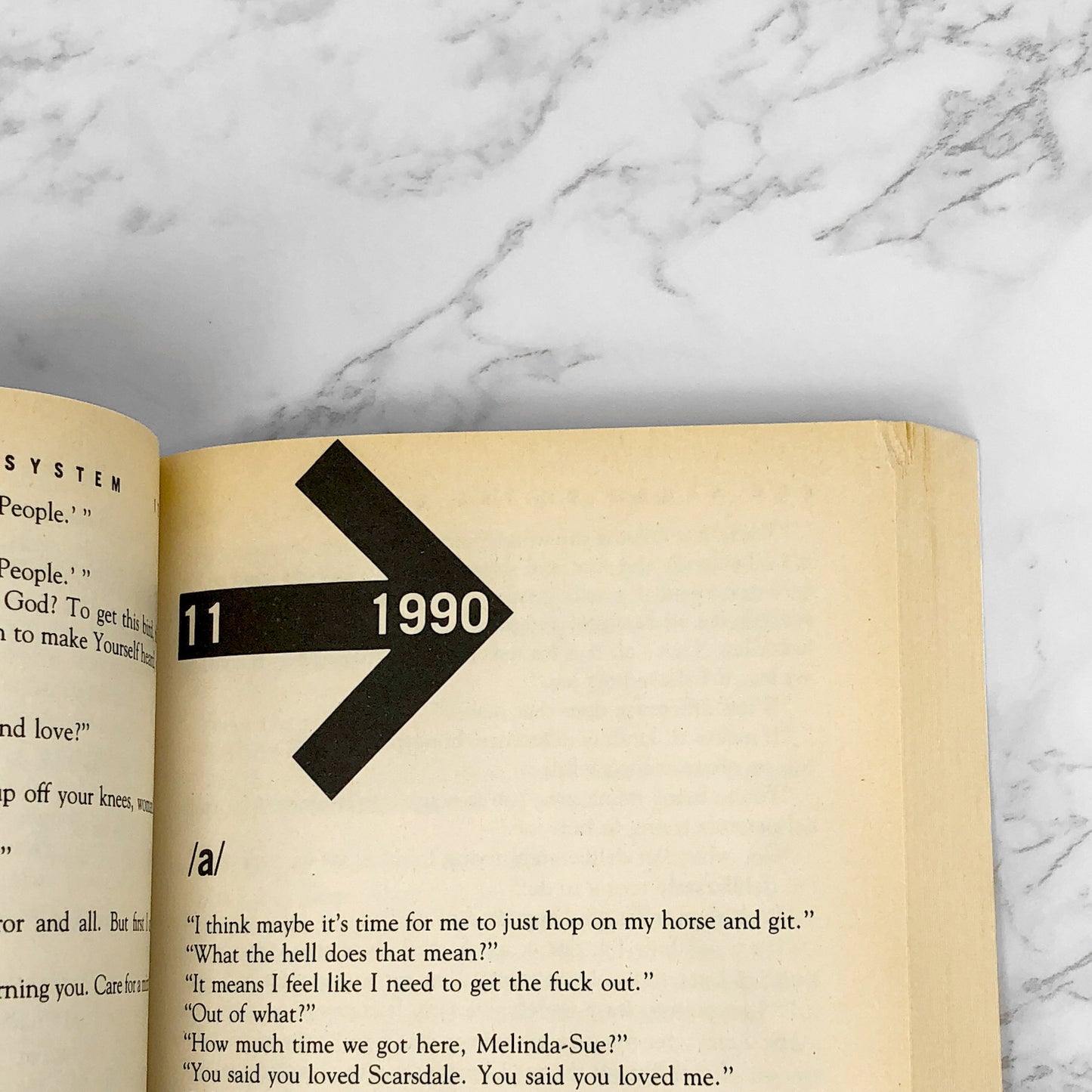 The Broom of the System by David Foster Wallace [FIRST EDITION / 1987] Trade Paperback