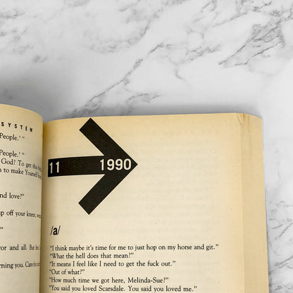 The Broom of the System by David Foster Wallace [FIRST EDITION / 1987] Trade Paperback