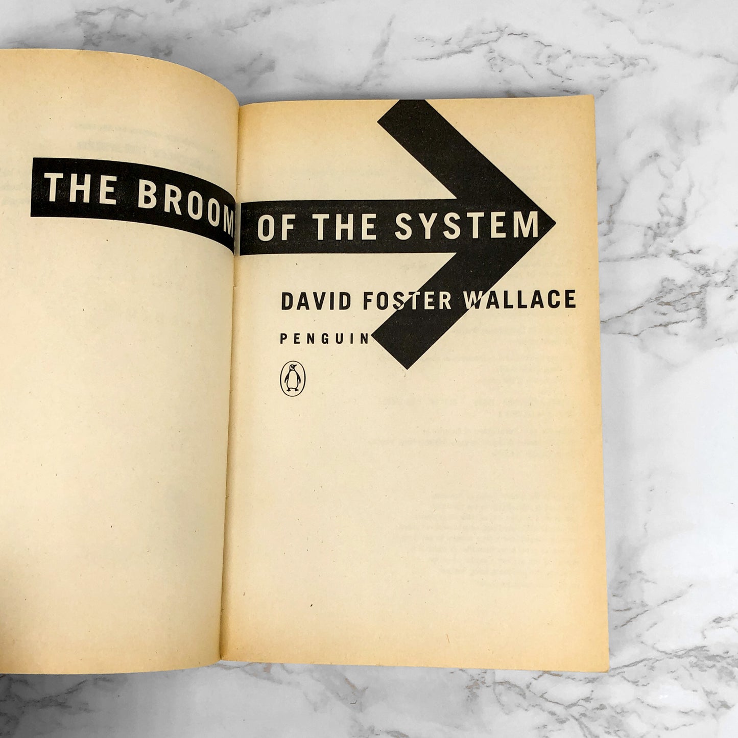 The Broom of the System by David Foster Wallace [FIRST EDITION / 1987] Trade Paperback
