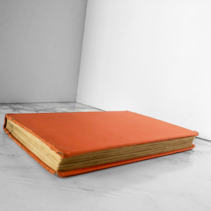 Bye Bye Birdie by Michael Stewart, Lee Adams & Charles Strouse [1962 FIRST EDITION / 1ST PRINTING] - Bookshop Apocalypse