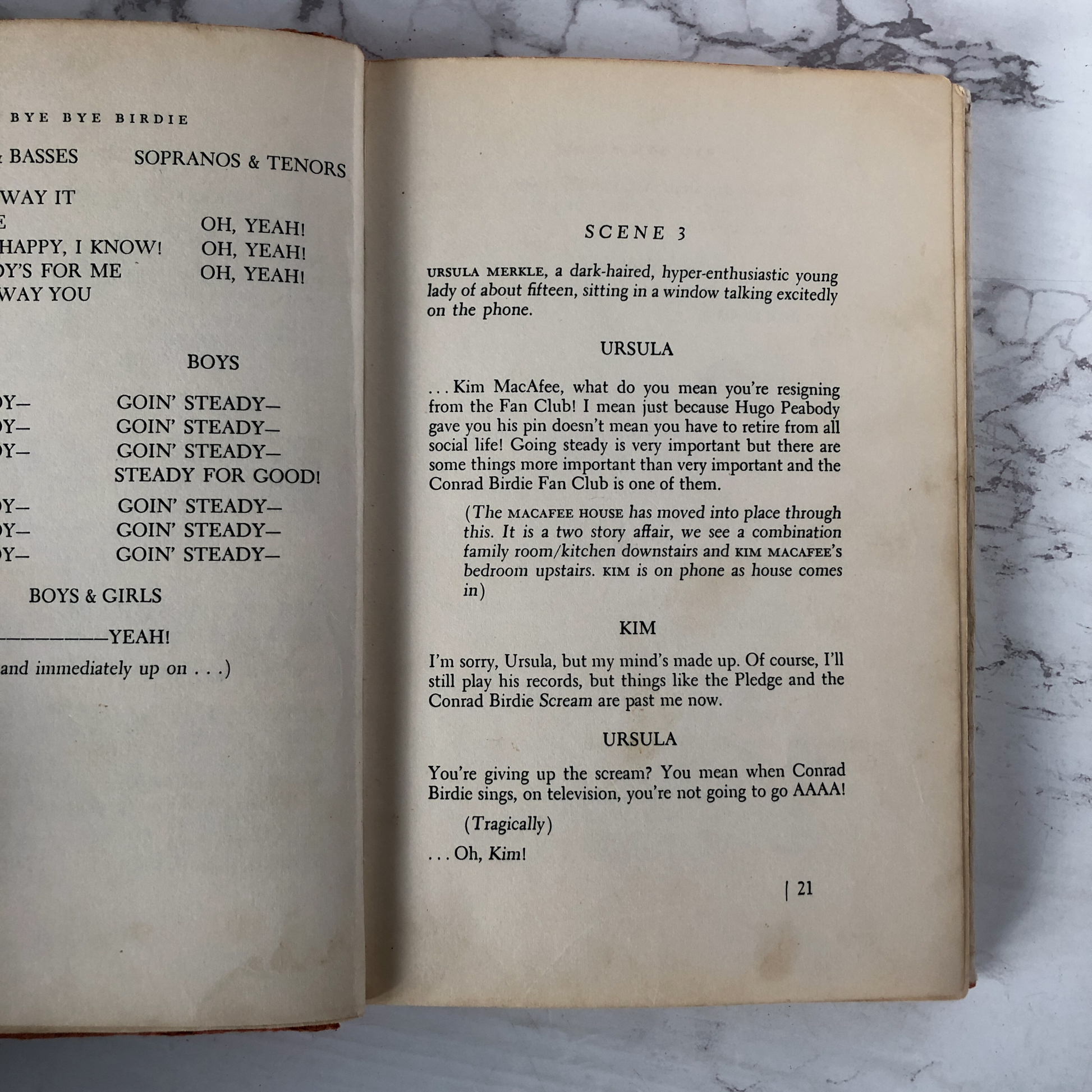 Bye Bye Birdie by Michael Stewart, Lee Adams & Charles Strouse [1962 FIRST EDITION / 1ST PRINTING] - Bookshop Apocalypse