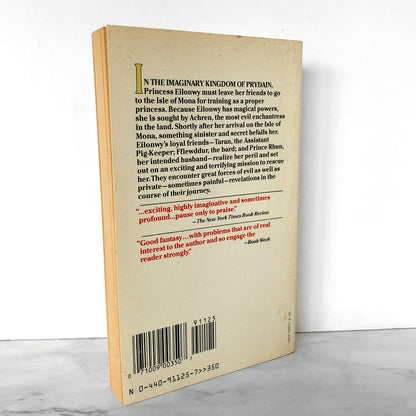 The Castle Of Llyr by Lloyd Alexander [1980 PAPERBACK]