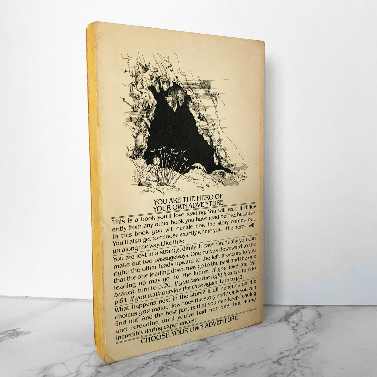 The Cave of Time by Edward Packard [CHOOSE YOUR OWN ADVENTURE #1] - Bookshop Apocalypse