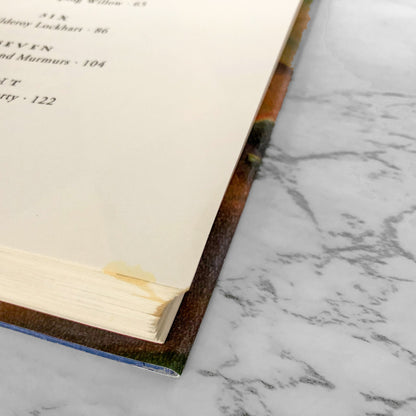 Harry Potter and the Chamber of Secrets by J.K. Rowling [U.S. FIRST EDITION]