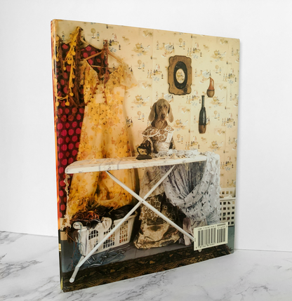 Cinderella by William Wegman [FAY'S FAIRY TALES] - Bookshop Apocalypse