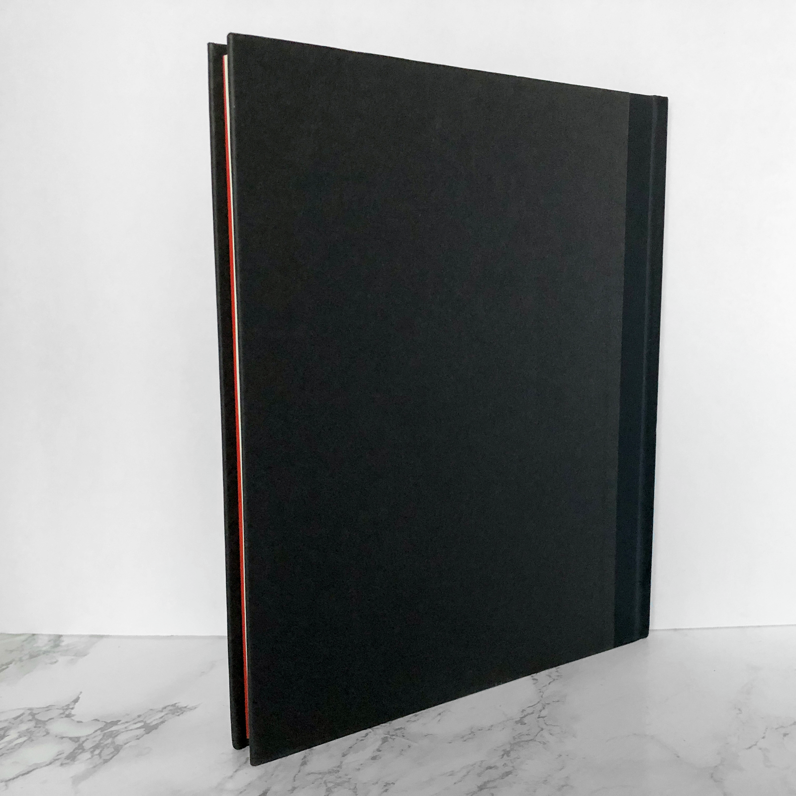 Cinderella by William Wegman [FAY'S FAIRY TALES] - Bookshop Apocalypse