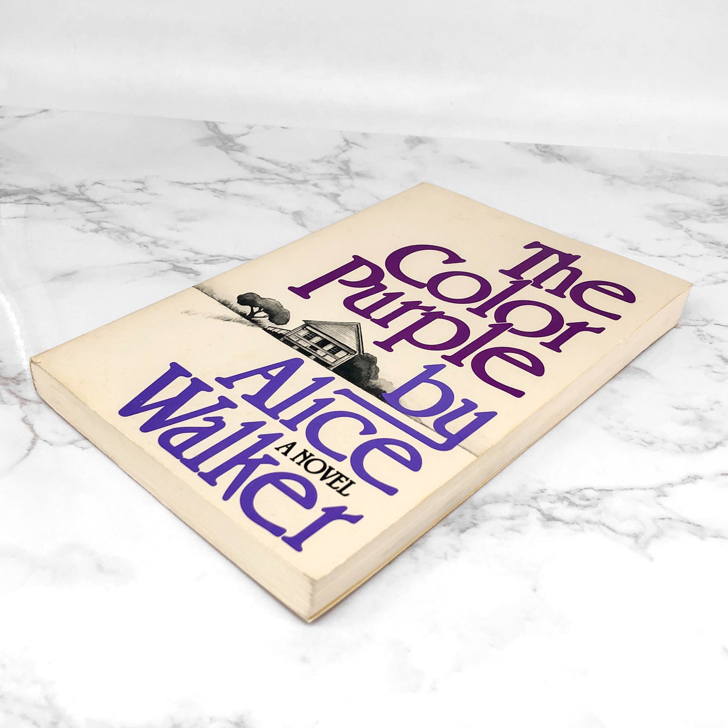 The Color Purple by Alice Walker [FIRST TRADE PAPERBACK PRINTING] 1982