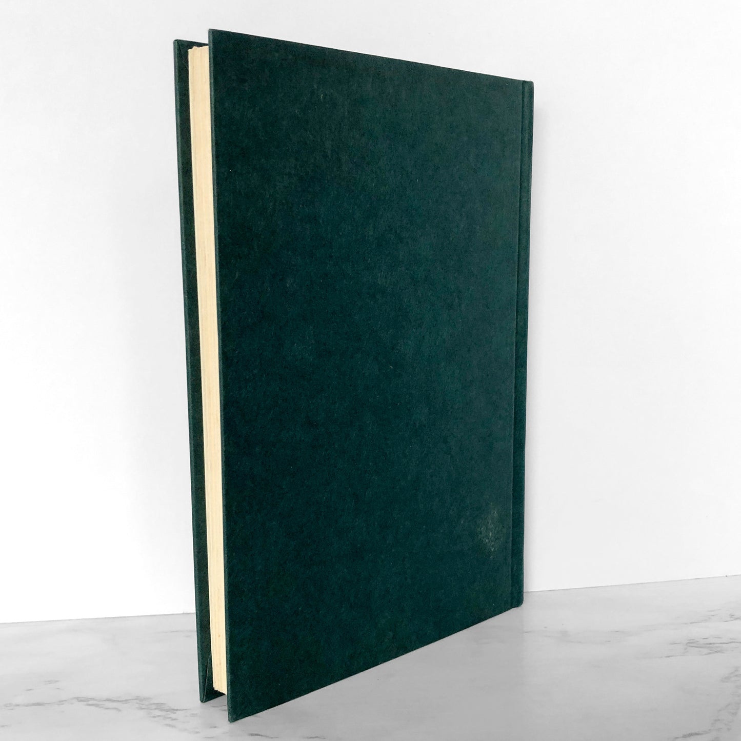 The Colour of Magic by Terry Pratchett [FIRST BOOK CLUB EDITION] 1983 • St. Martin's Press