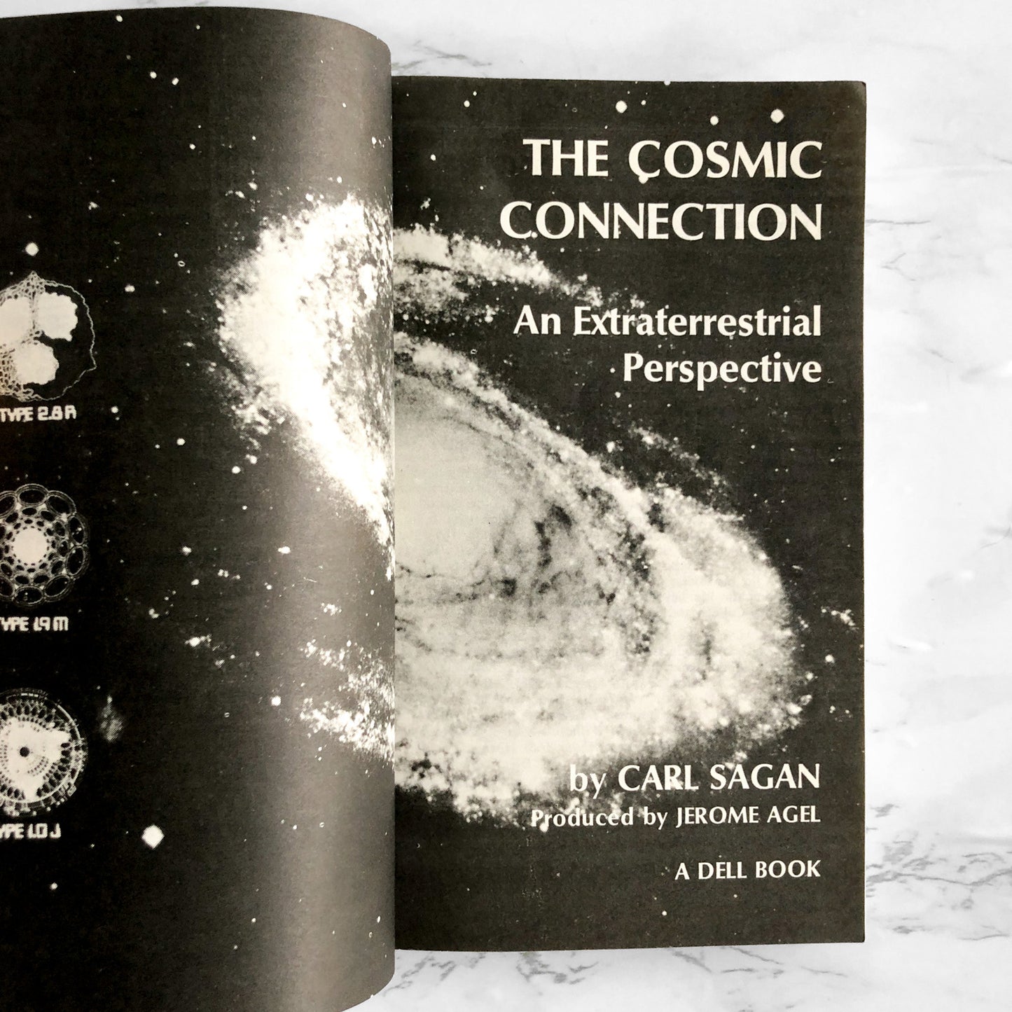 Cosmic Connection: An Extraterrestrial Perspective by Carl Sagan [1975 PAPERBACK]