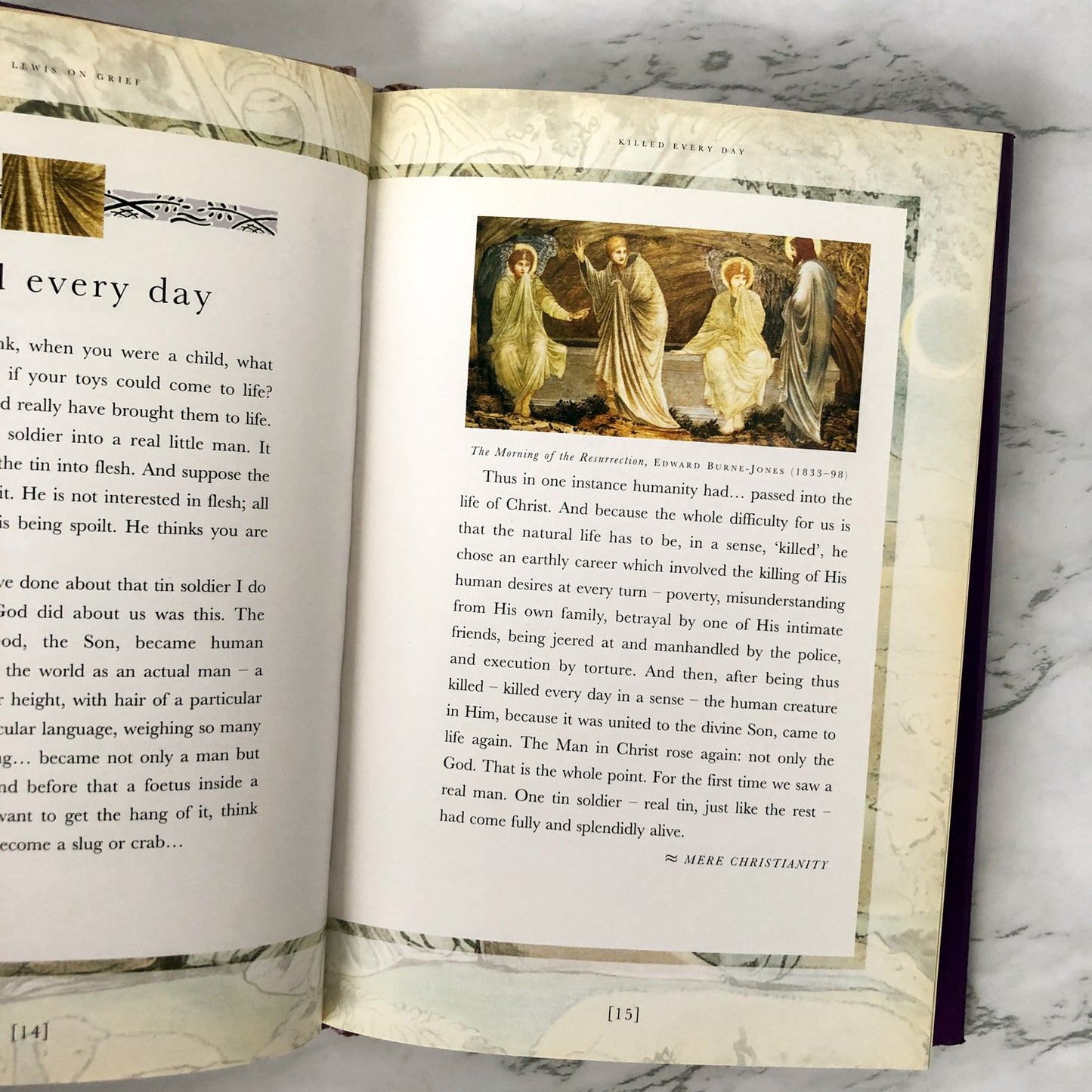 C.S. Lewis on Grief [1998 ILLUSTRATED HARDCOVER] - Bookshop Apocalypse