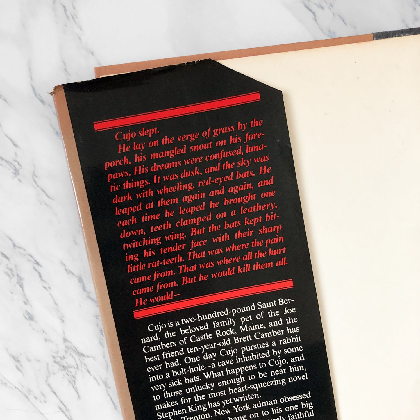 Cujo by Stephen King [FIRST EDITION / 1981] - Bookshop Apocalypse