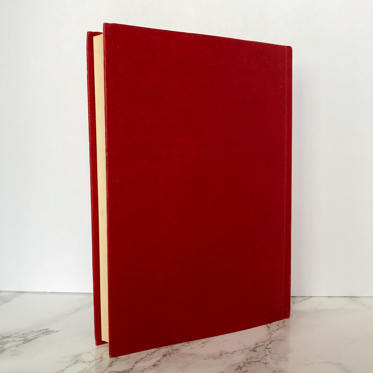 The Curious Incident of the Dog in the Night-Time by Mark Haddon [UK FIRST EDITION / FIRST PRINTING] - Bookshop Apocalypse